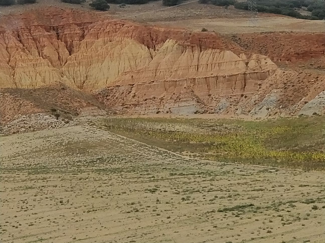 2017-09-15-PHOTO-00010642