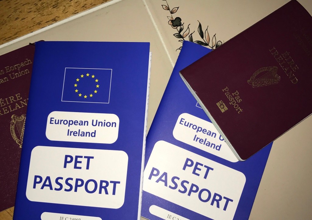 Passports at the&nbsp;ready!