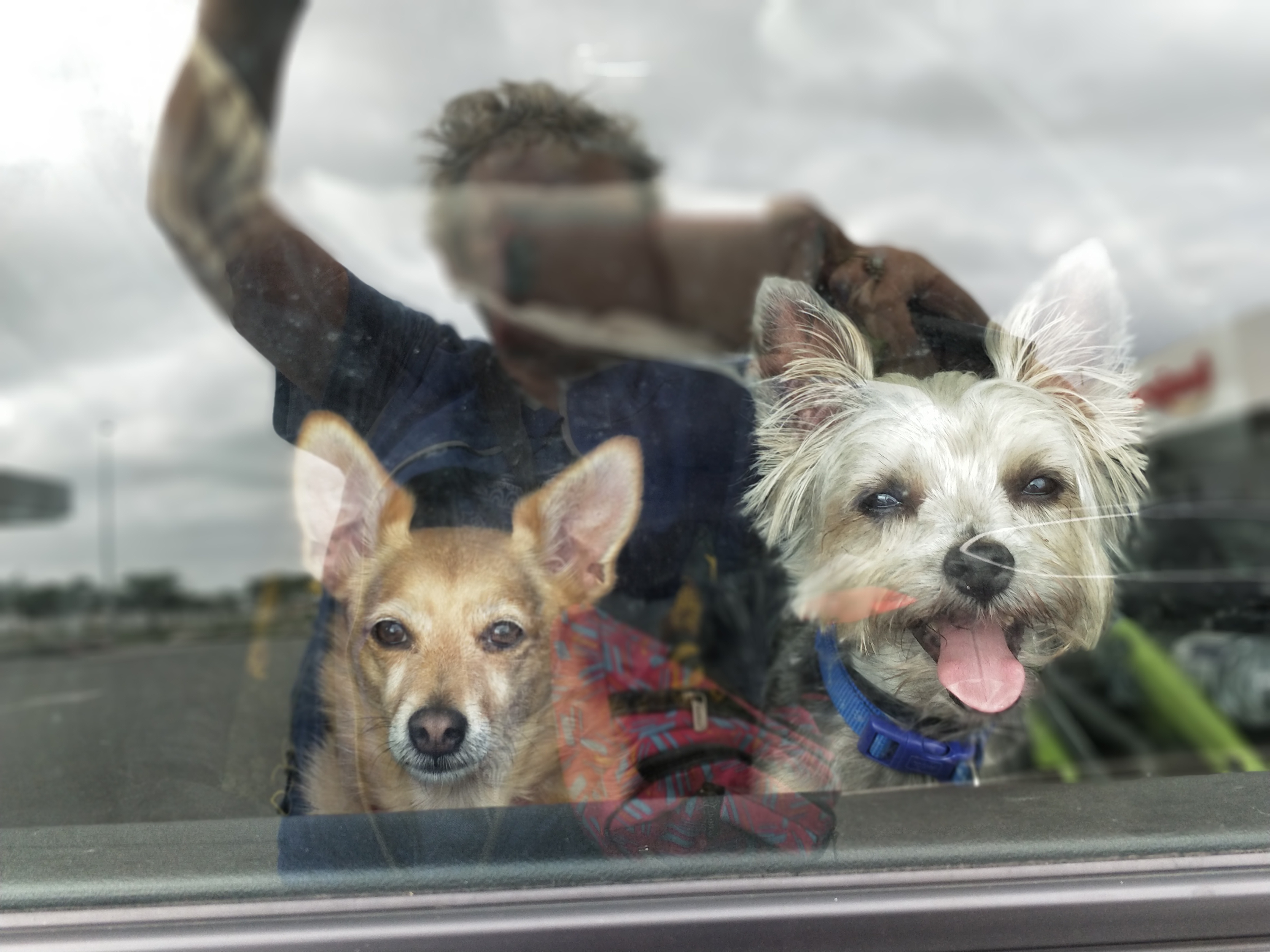 IMG_20170907_133112_Bokeh