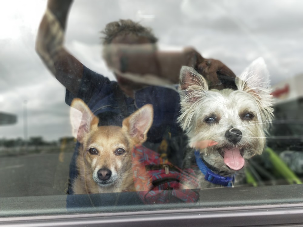 IMG_20170907_133112_Bokeh