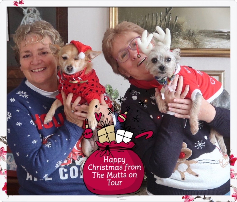 8F72301C-ED2F-4918-BD1A-EA948ED4F6AE