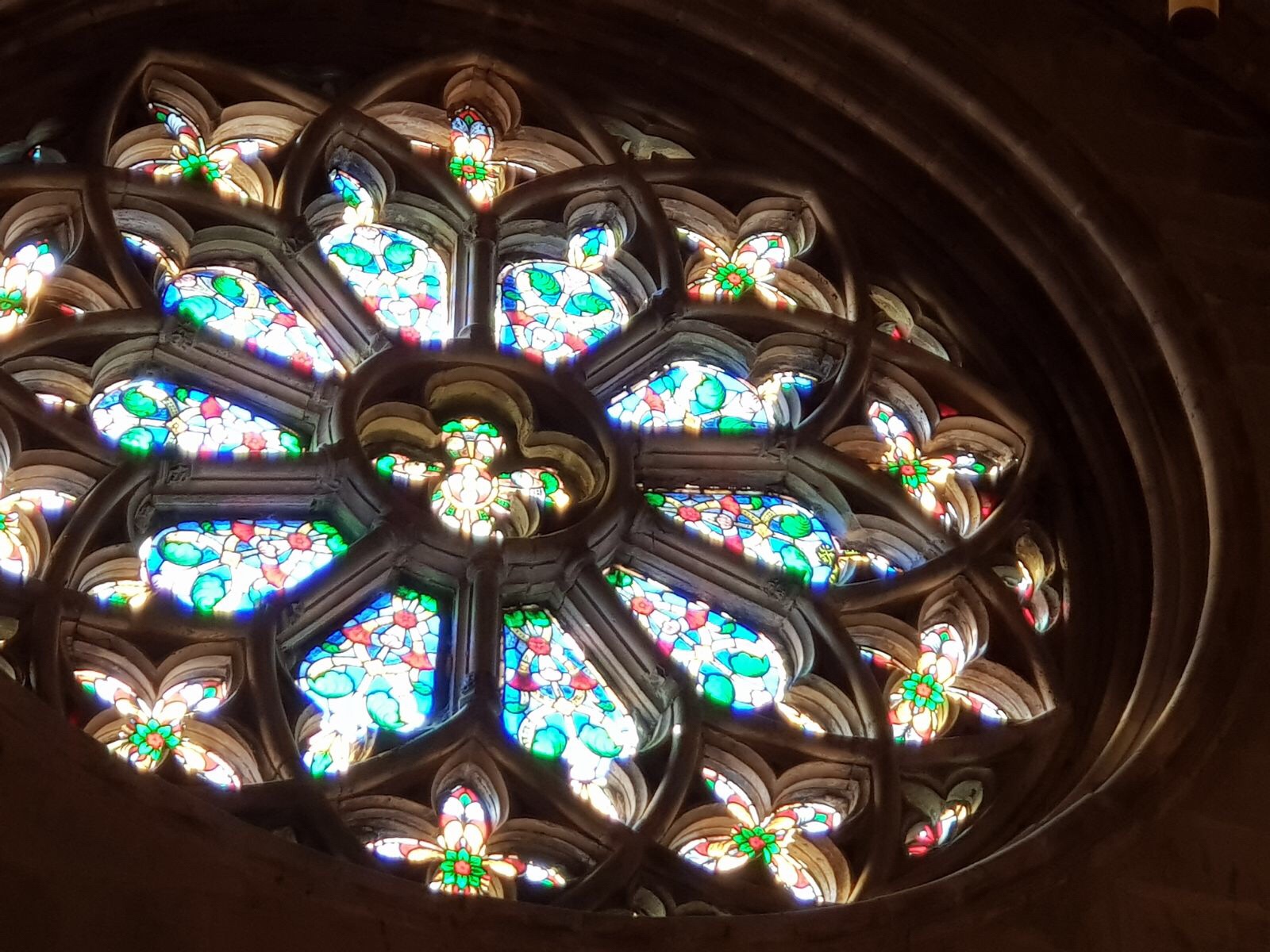 c102e501-96c5-4395-b828-d531d8f89545