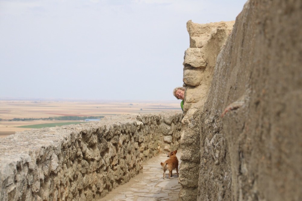 file-1e6291c3-40ec-4e3b-8d03-f55a14320088-550-0000002e6c67fed4