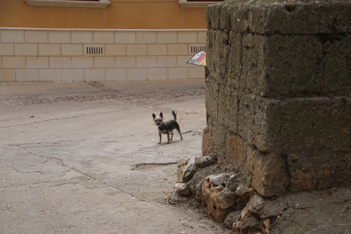 file-4576b349-5355-48c1-8845-f61c5dcb06d9-550-0000002e756e8aed