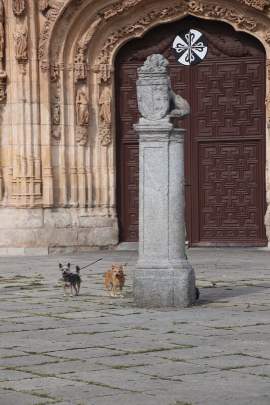 file-ad123ba0-5d1e-4277-ace1-652cda15d8da-550-0000002e841ad255