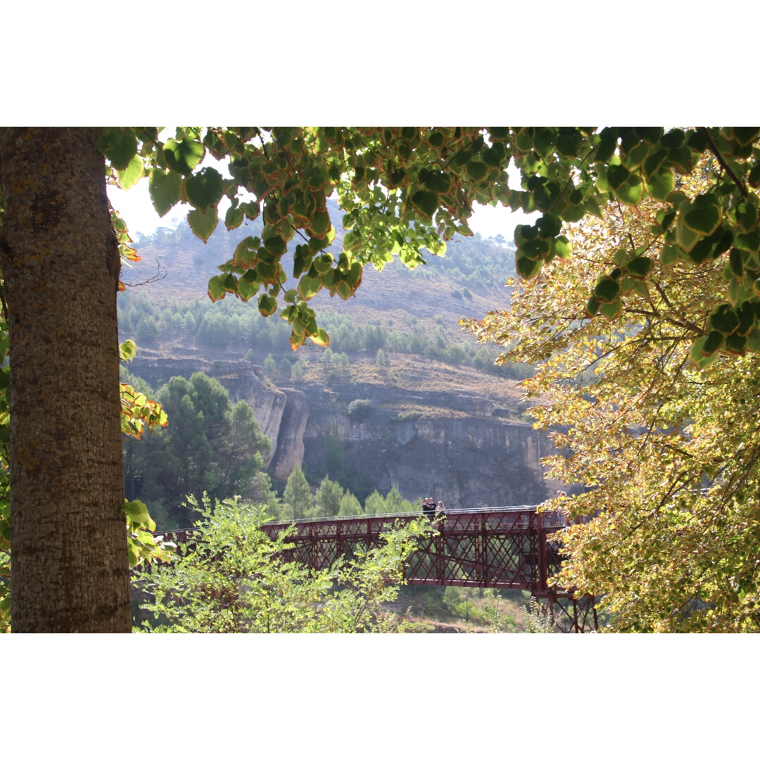 file-b71e97d9-08a1-46c6-9dc7-b4bb8dcfd5e5-1177-000000fa6bb7cb76