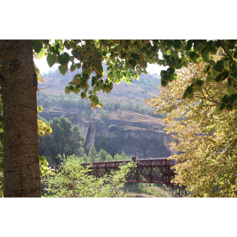 file-b71e97d9-08a1-46c6-9dc7-b4bb8dcfd5e5-1177-000000fa6bb7cb76