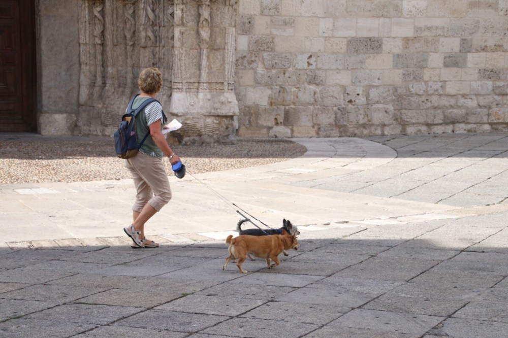 file-b89bad42-77b7-4b8d-8904-a5f38f5b0f13-550-0000002e873316f9