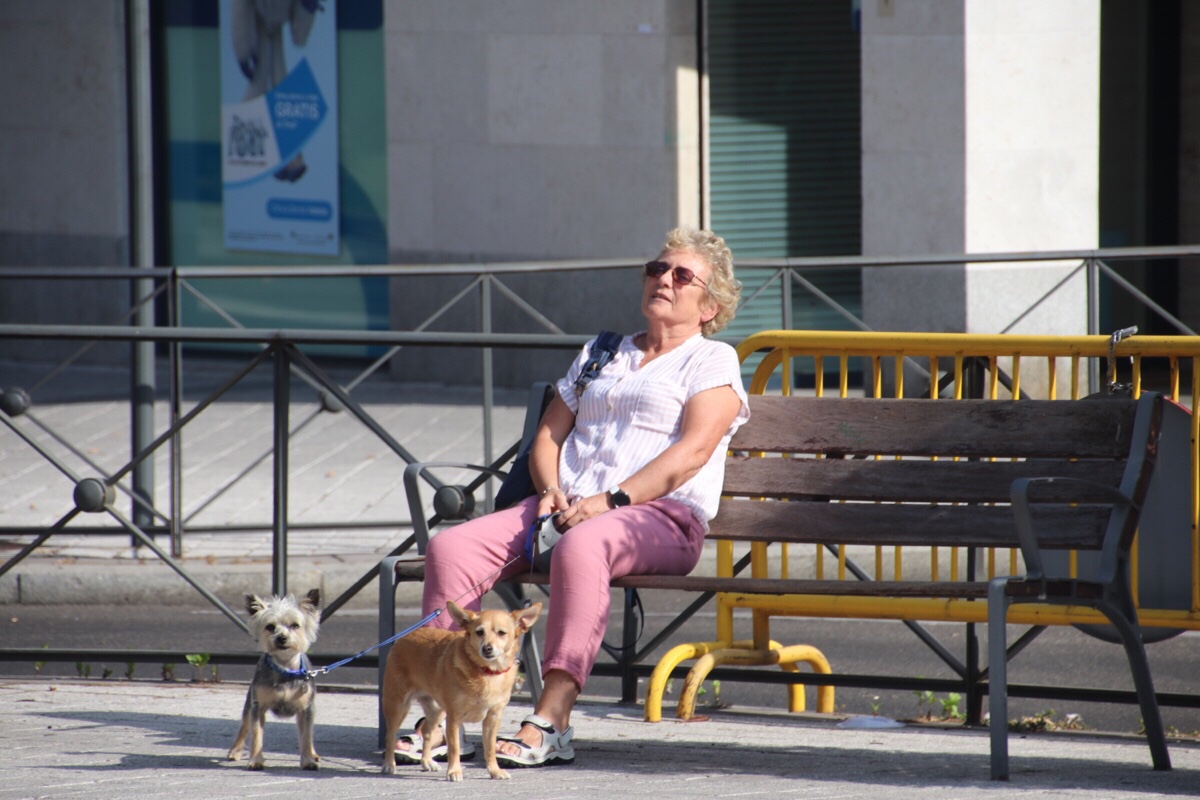 file-e31875ea-6312-4ad3-a1e9-310a3579d2f4-550-0000002e9ff4f96c