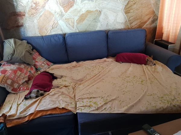 file-0d741286-8758-425c-823d-ea7326457571-761-0000004df042fb9f