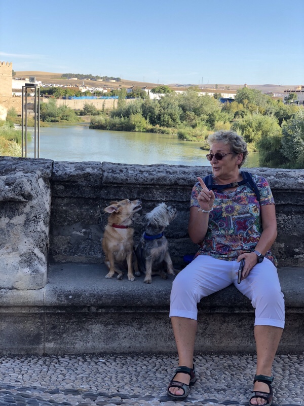 file-343d4838-bb15-4d80-ad34-5c14aeb1817a-761-0000004de6e091a9