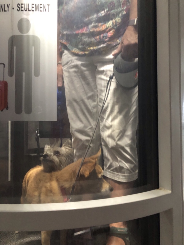 file-453a22cf-af2a-43d6-ab9a-de15b6679e0f-761-0000004dee764d66