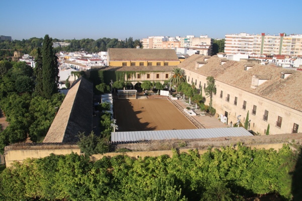 file-cae11788-b869-4846-a598-0c78c8188984-761-0000004d3ce8c4c4