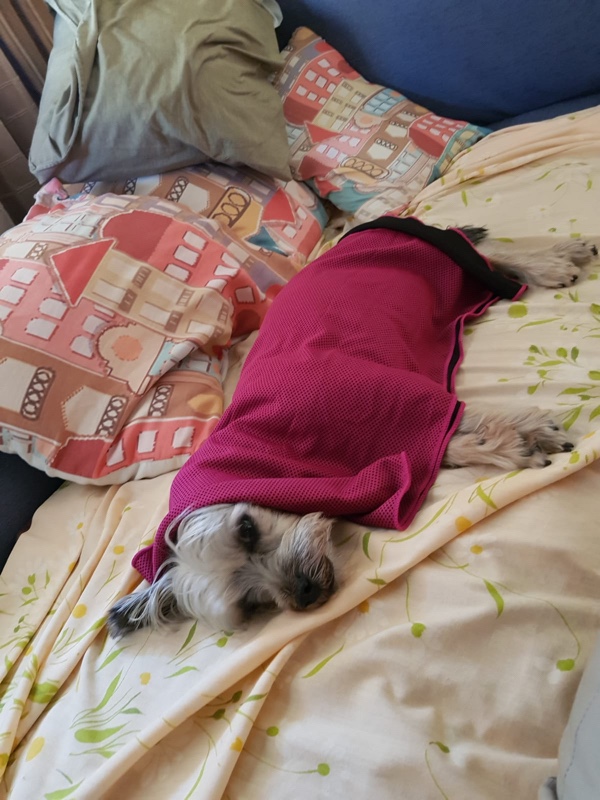 file-dfef8349-573c-4f5f-b936-7d466c4431be-761-0000004def8c0371