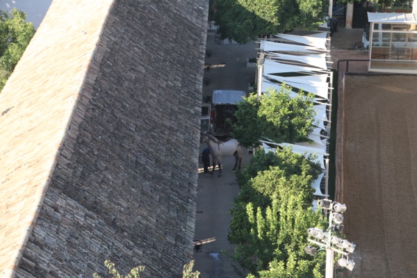 file-f43566cf-74d7-4afd-b3f7-7ce3b98b20b7-761-0000004d3c9e7372